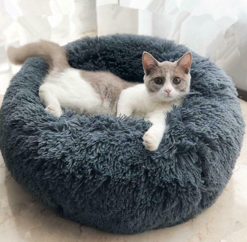 Cat Accessories